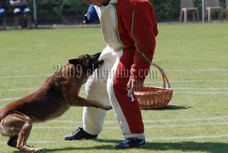 3 EME SELECTIF 2009 GRANDE SYNTHE 189.jpg